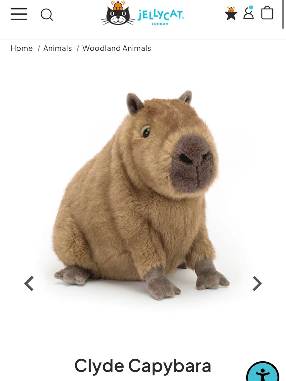 Authentic Jellycat Clyde Capybara-NWT
